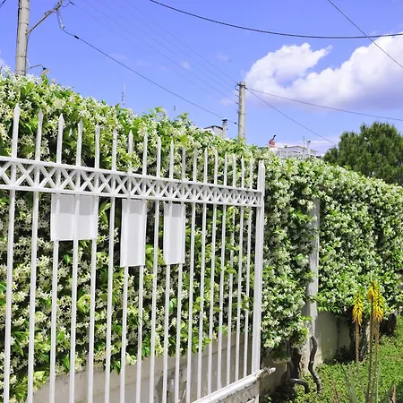 Peloponeese Corinthos Seaside For Short Rent Villa